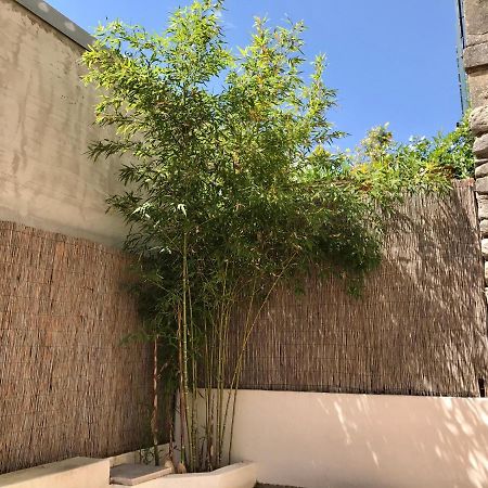 Saint-Rémy-de-Provence L'Oustau St. Bernardヴィラ エクステリア 写真
